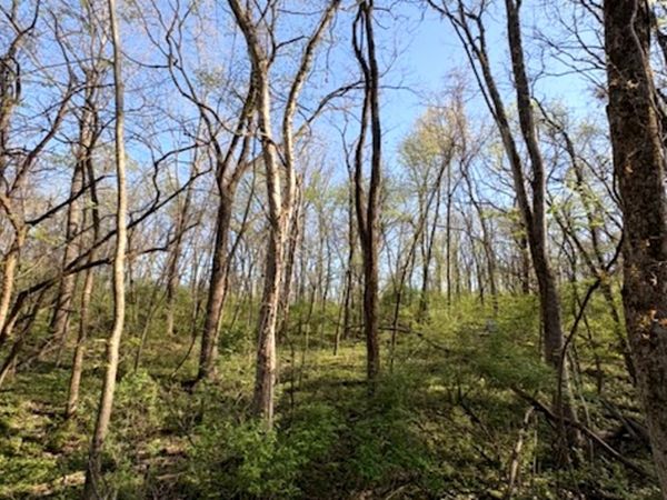 26 Catalina Drive , Putnam, IL 61560
