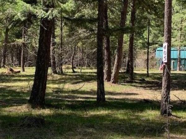 405 Shady LN, Wallace, ID 83873