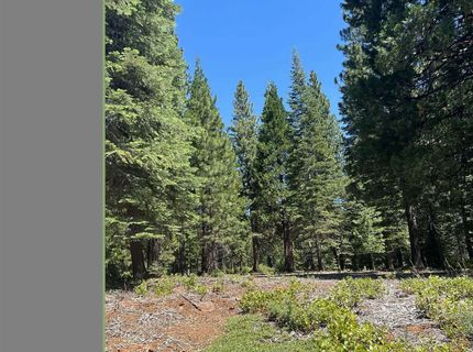 105 Fox Head Drive, Lake Almanor, CA 96137 Photo