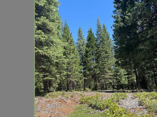 105 Fox Head Drive, Lake Almanor, CA 96137