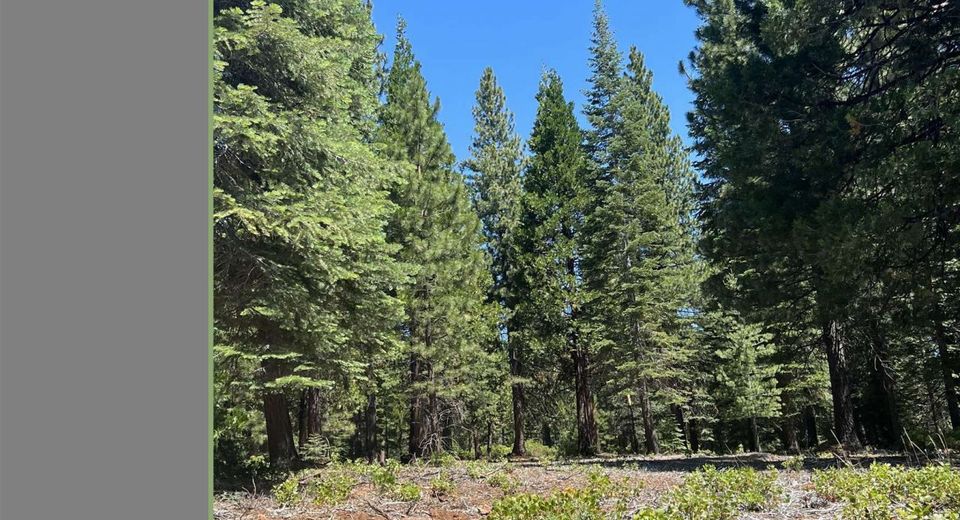 105 Fox Head Drive, Lake Almanor, CA 96137 Photo