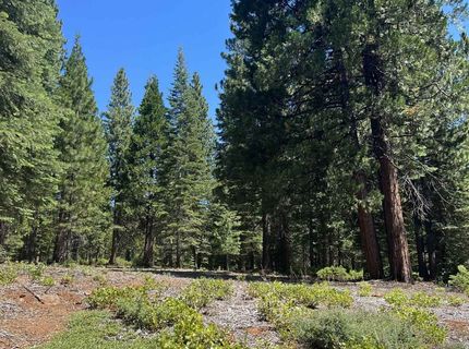 105 Fox Head Drive, Lake Almanor, CA 96137 Photo