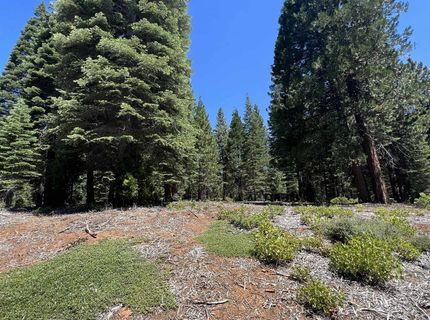 105 Fox Head Drive, Lake Almanor, CA 96137 Photo