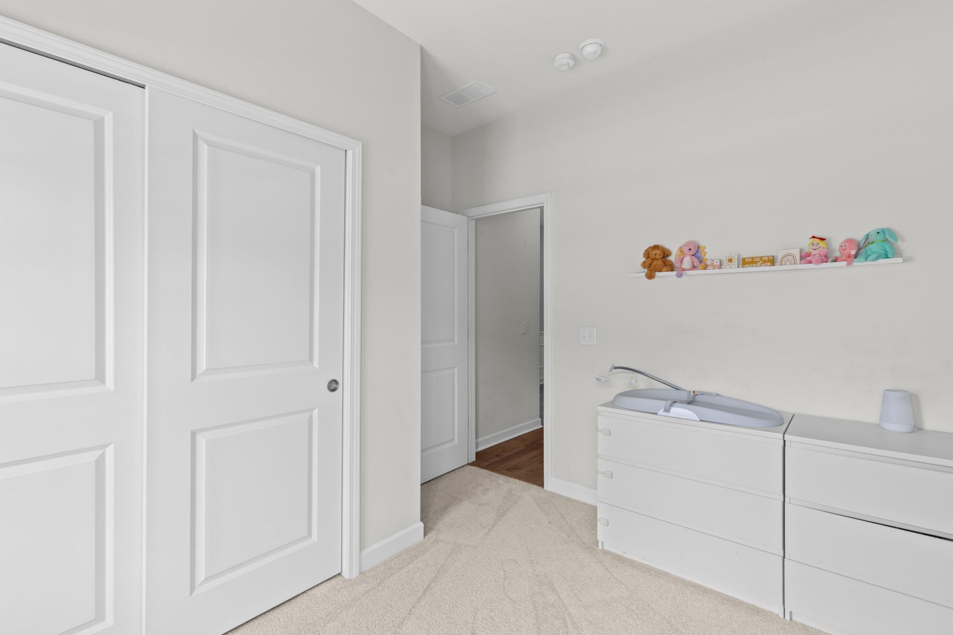 1137 Turkey Trot Drive Photo 15