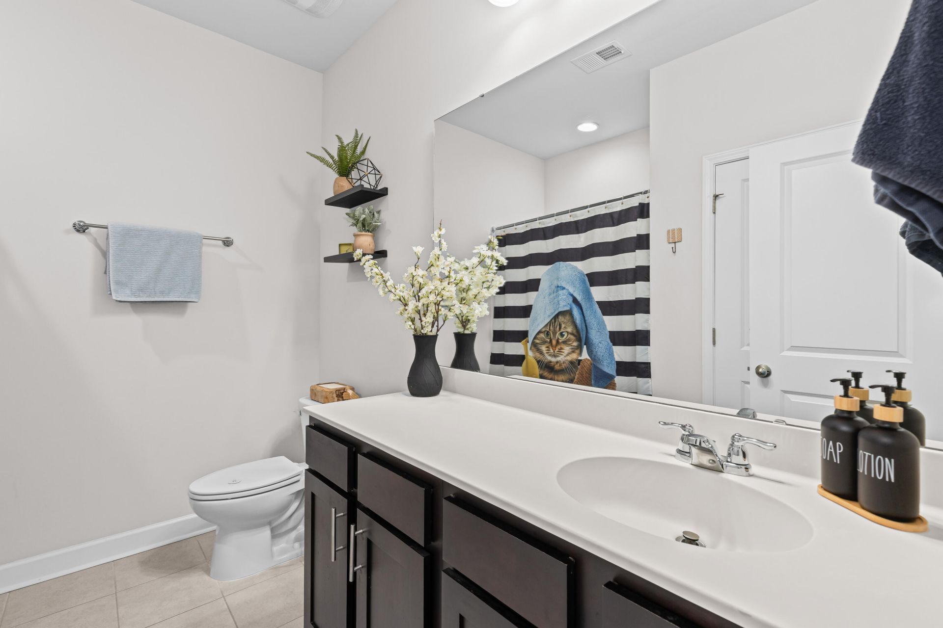 1137 Turkey Trot Drive Photo 16