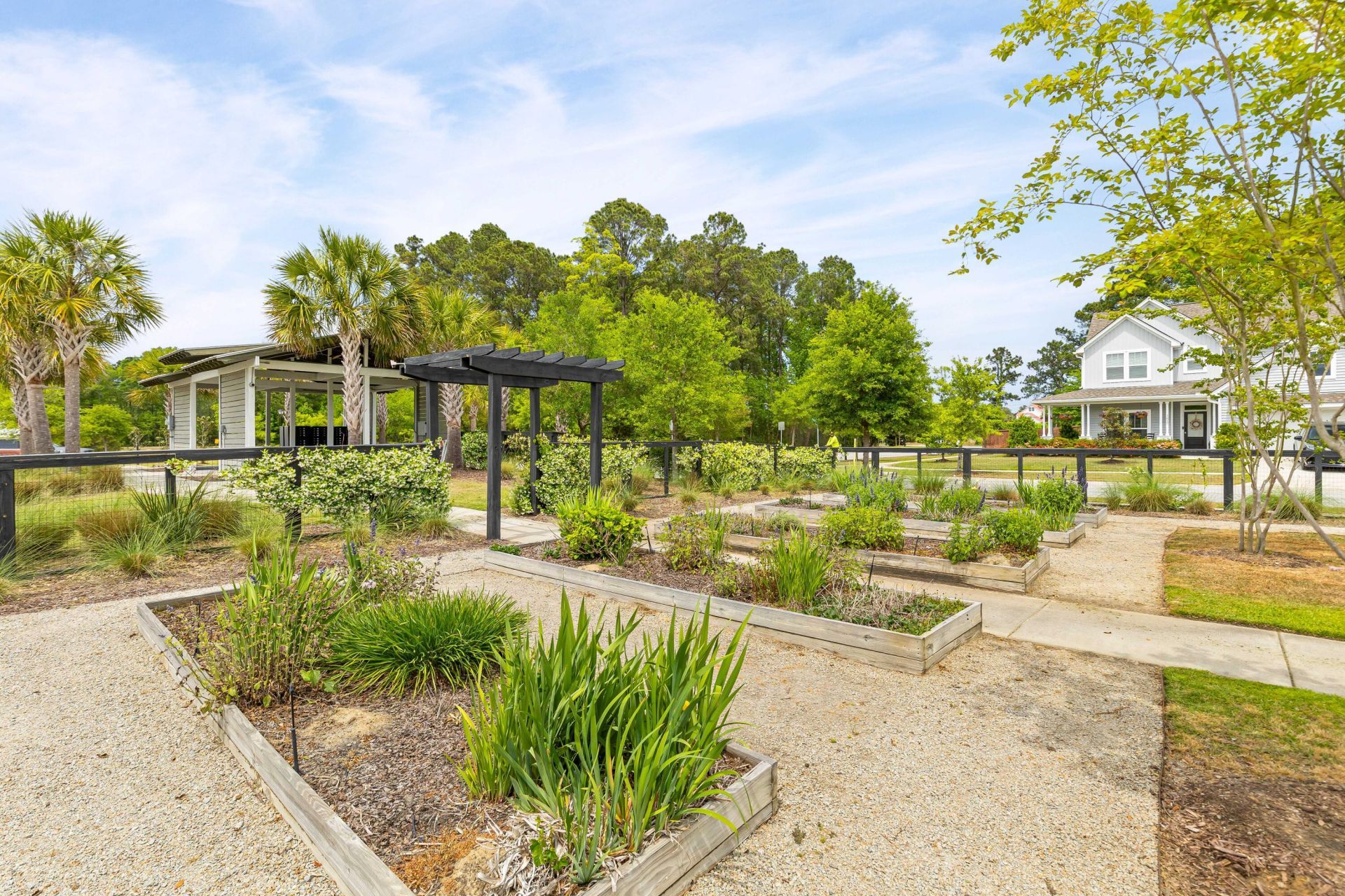 1137 Turkey Trot Drive Photo 44