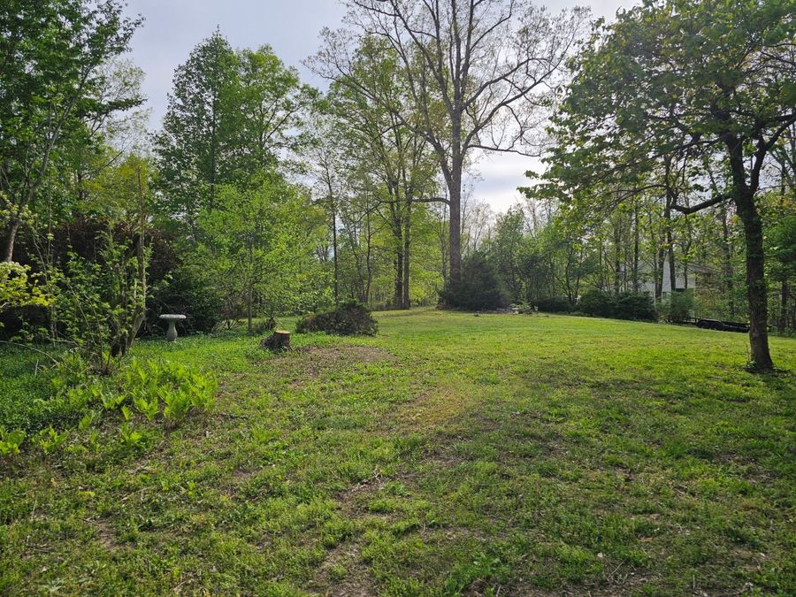 Property Image 85