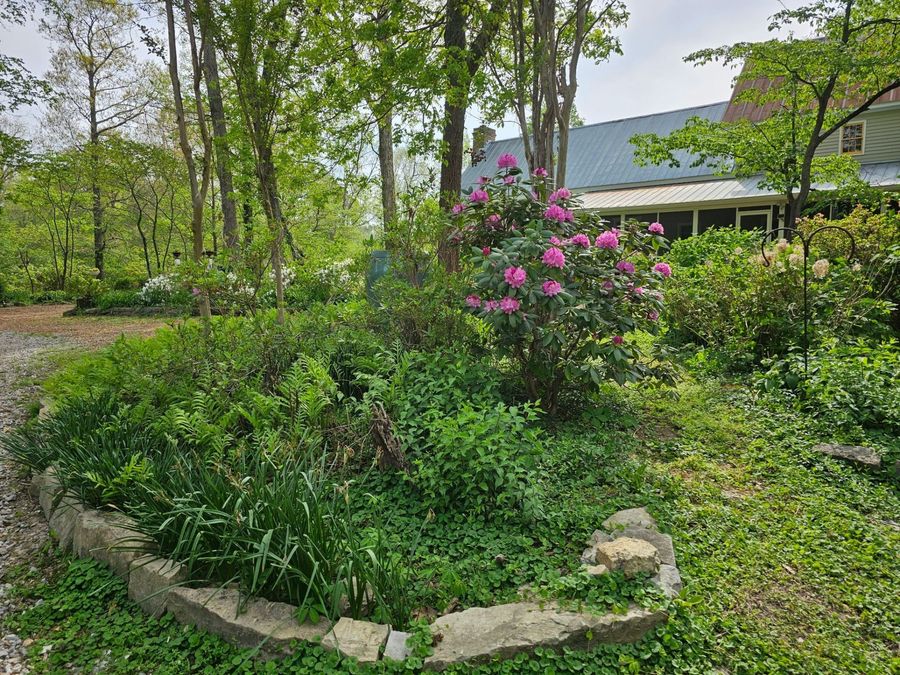 Property Image 87