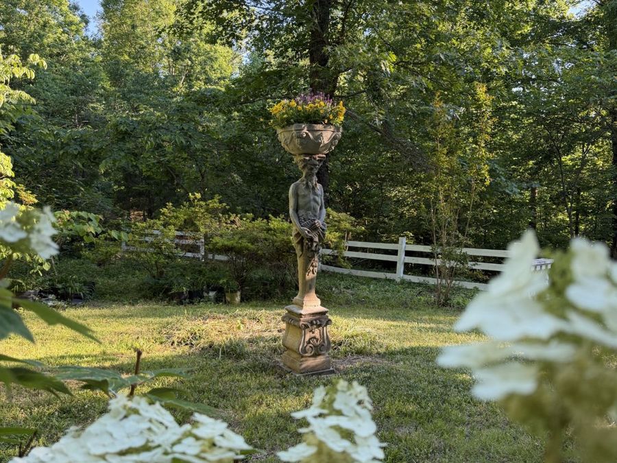 Property Image 90