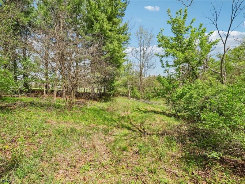 7802 Avon Lake Road, Lodi, OH 44254 Photo 42