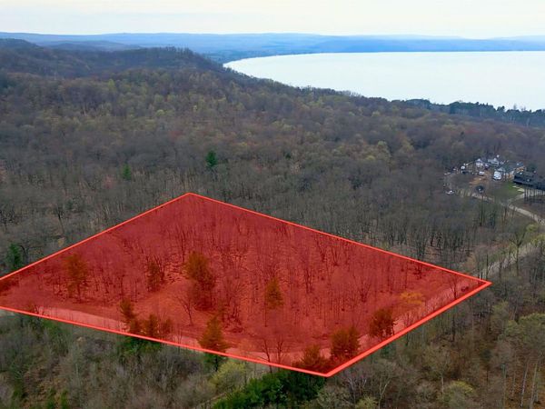 Big Sky Trail W, Maple City, MI 49664