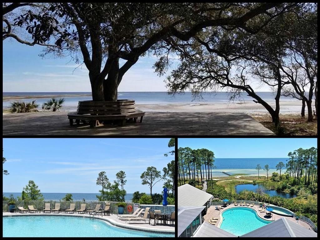 3493 Firefly Circle, Saint Teresa, FL 32358 Photo