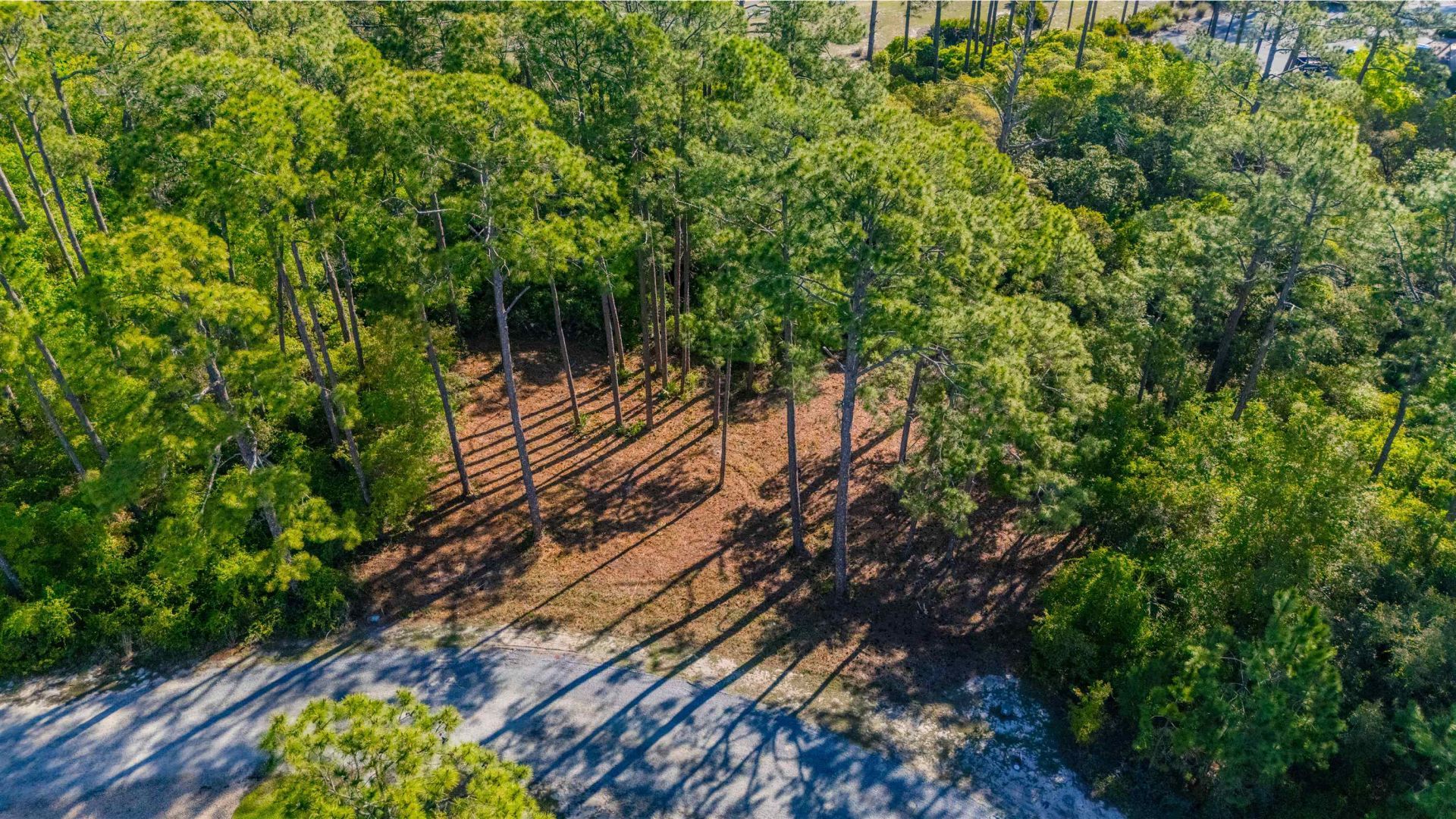 3493 Firefly Circle, Saint Teresa, FL 32358 Photo