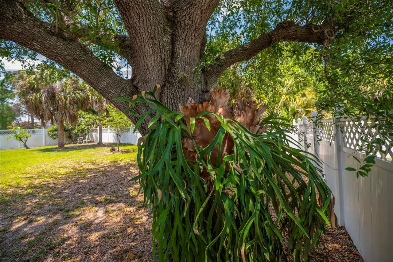 2618 8th Street W, Lehigh Acres, FL 33971 Photo