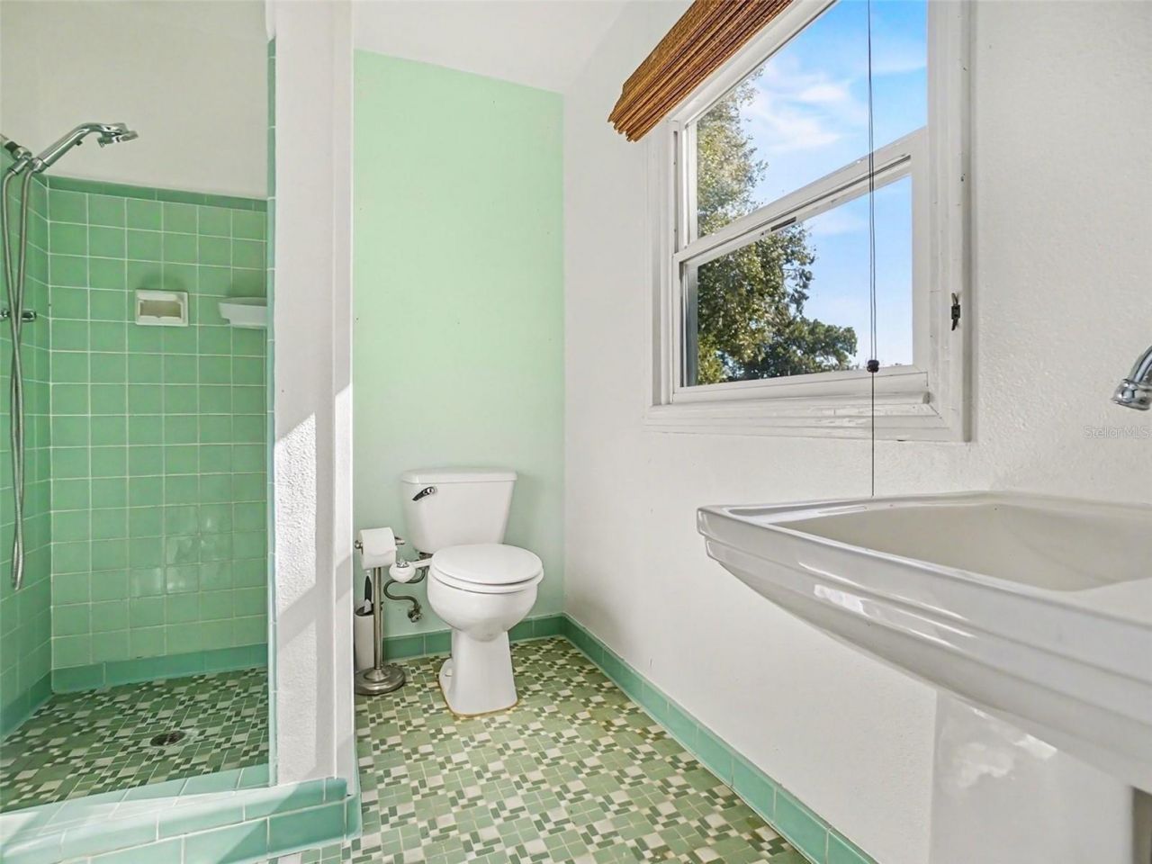 1725 Hamilton Street , Eustis, FL 32726 Photo