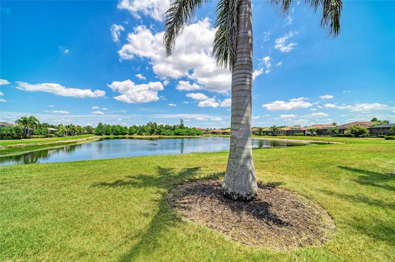 113 Wandering Wetlands Circle , Bradenton, FL 34212 Photo