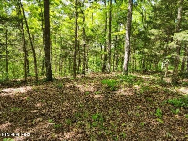 10.13ac Forest Trails Lane, Celina, TN 38551