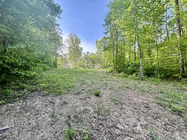 0 Chappell Cemetery Rd , Bon Aqua, TN 37025