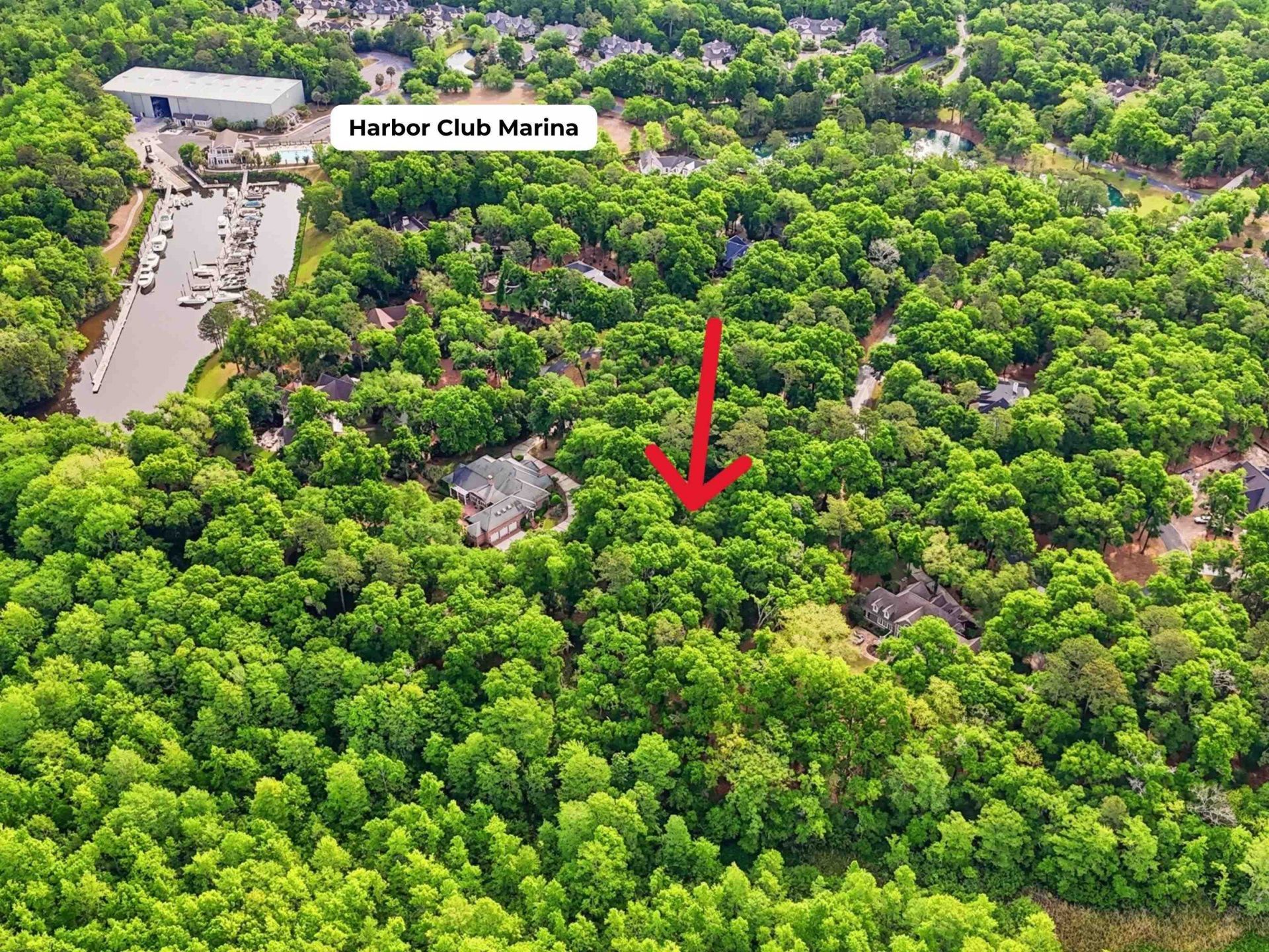 116 Sandy Ridge Loop  Photo 10