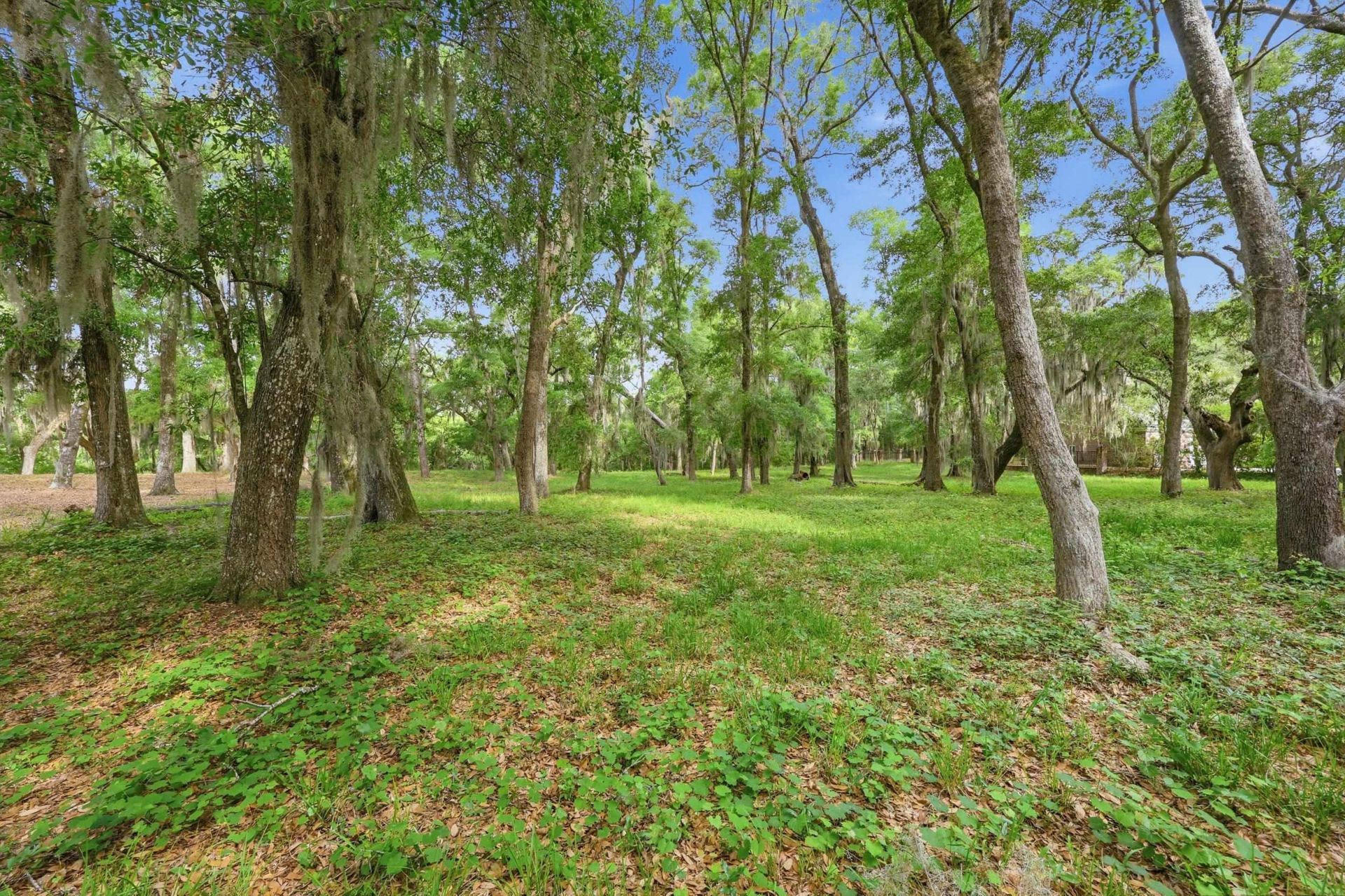 116 Sandy Ridge Loop  Photo 5
