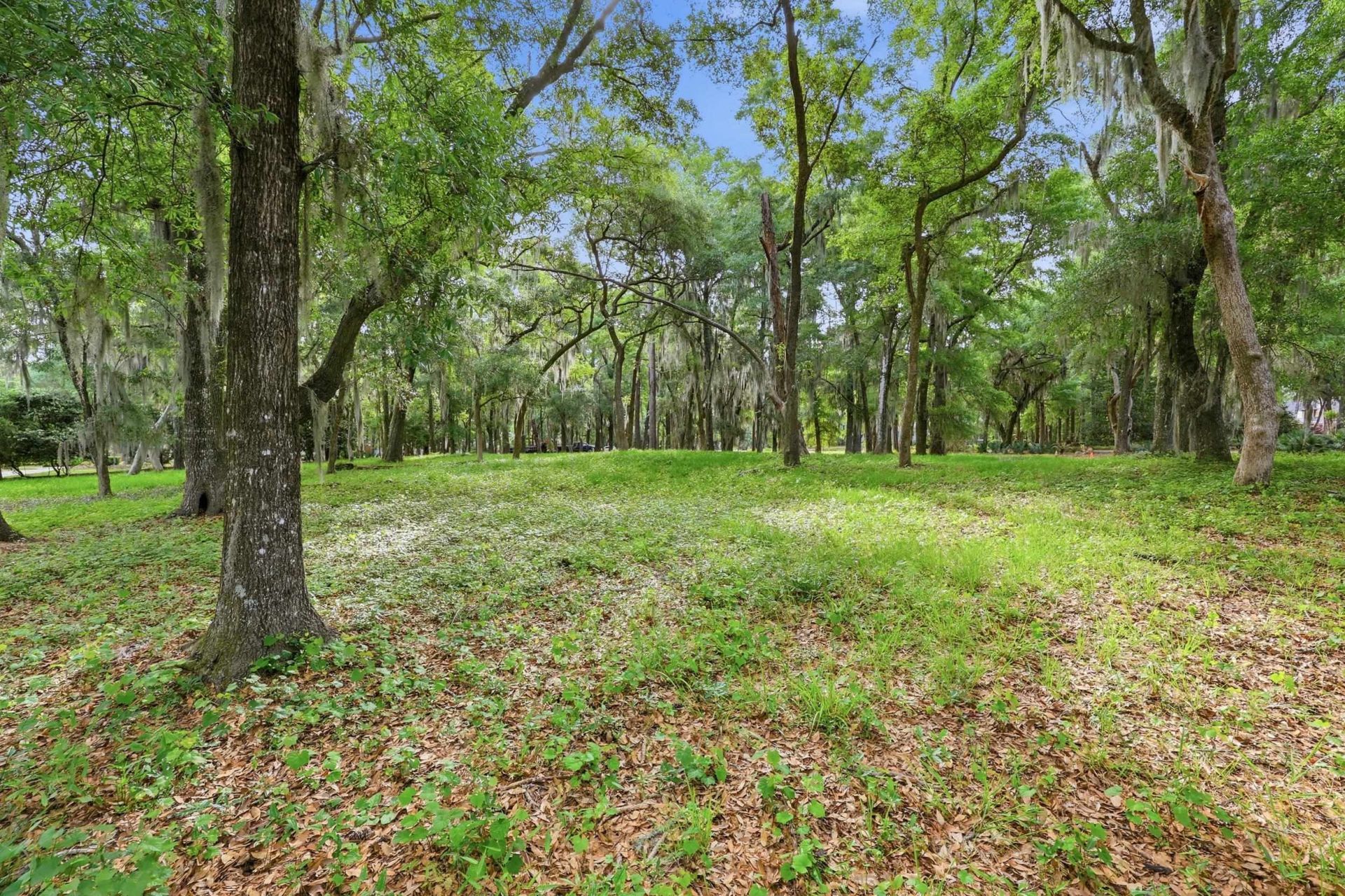 116 Sandy Ridge Loop  Photo 6