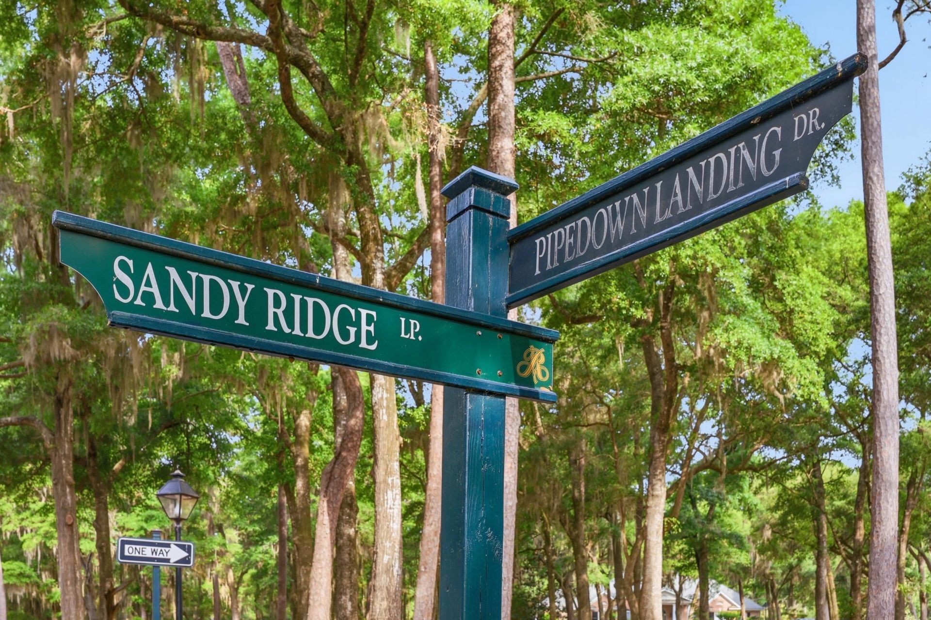 116 Sandy Ridge Loop  Photo 7