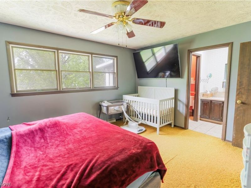 333 Kathleen Drive , Jefferson, OH 44047 Photo 17