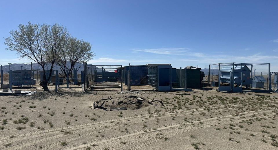 00 Blue Mountain Rd Street, Winnemucca, NV 89445 Photo