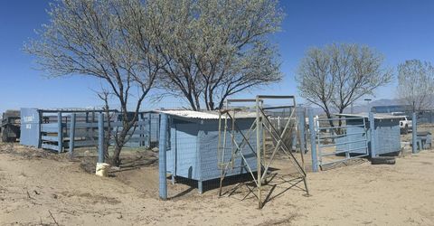 00 Blue Mountain Rd Street, Winnemucca, NV 89445 Photo