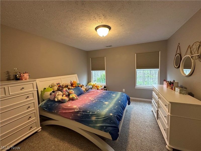 10363 Redbud Drive, Aurora, OH 44202 Photo 17