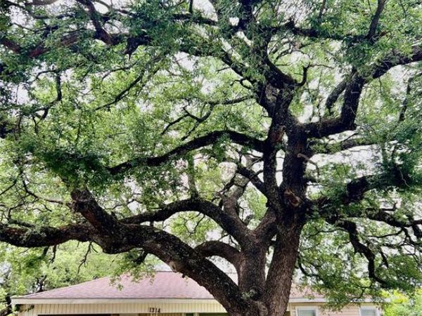 1314 W Water Street , Weatherford, TX 76086