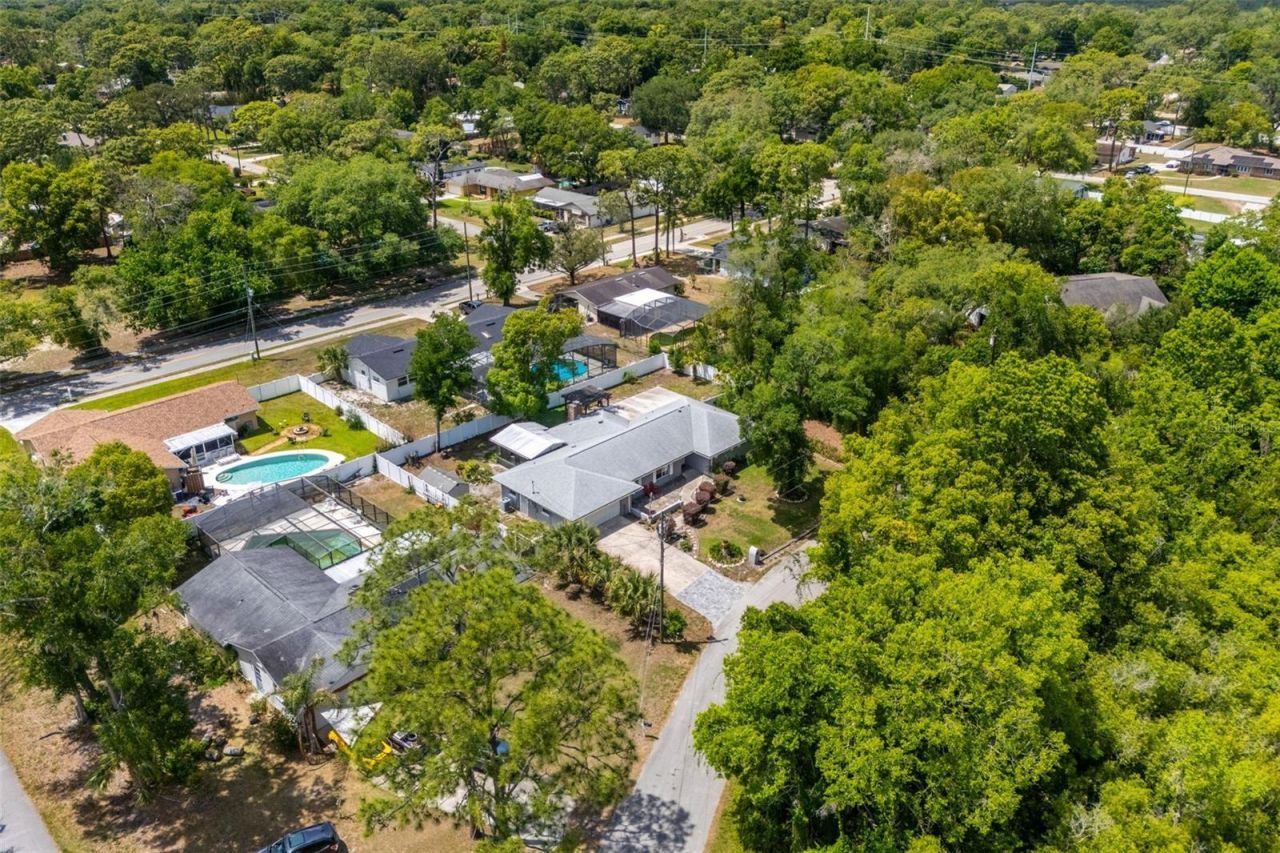 1702 Elaine Avenue, Altamonte Springs, FL 32701 Photo