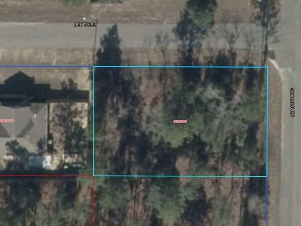 09263-000-00 NE 151ST AVENUE , WILLISTON, FL 32696