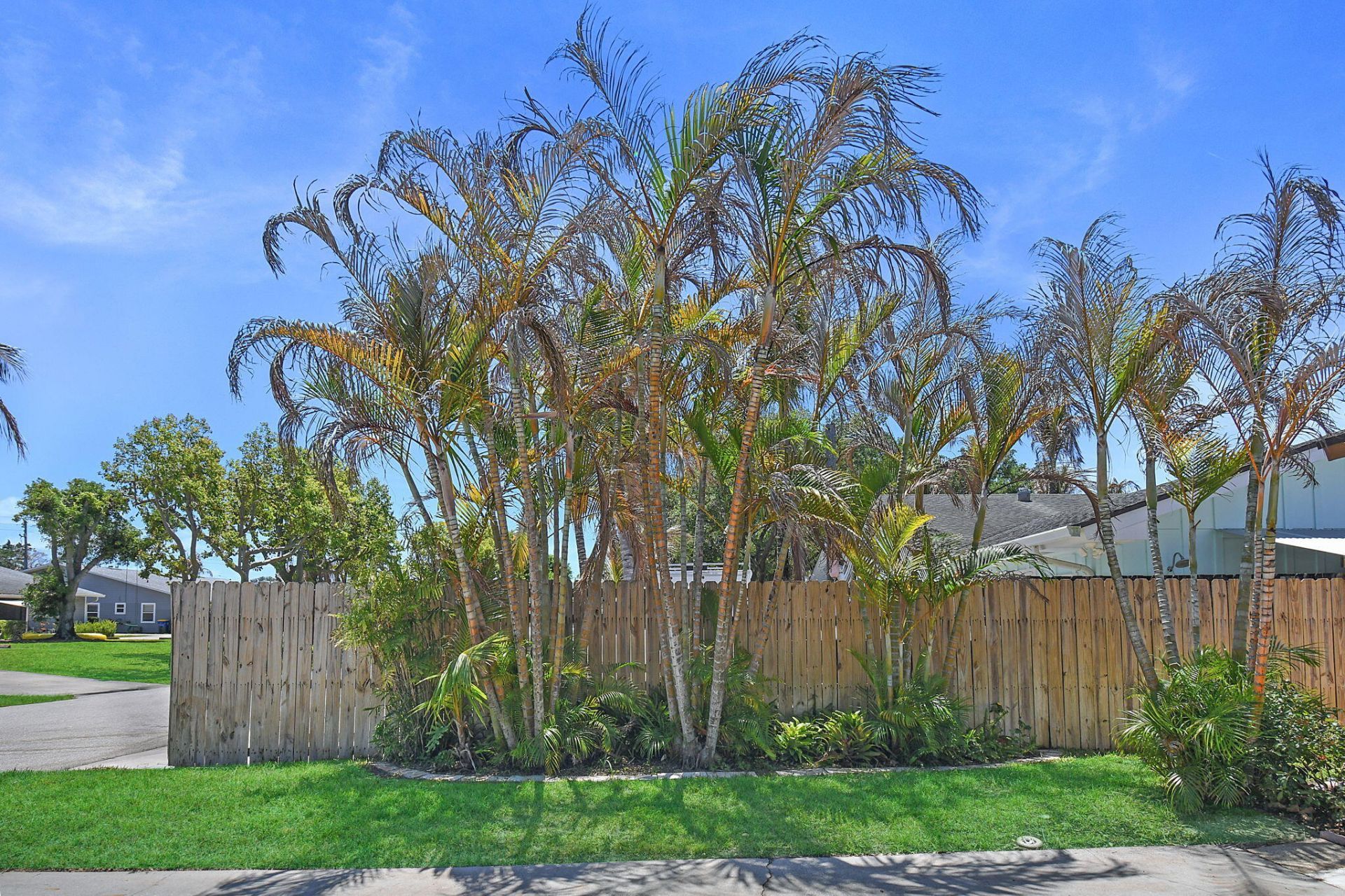 9040 SE Hobe Ridge Avenue, Hobe Sound, FL 33455 Photo
