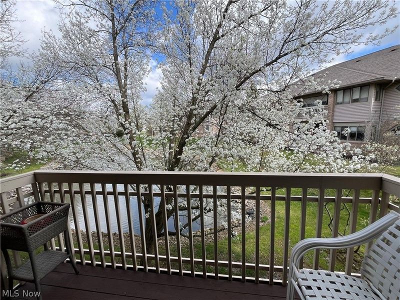 3800 Rosemont Boulevard, Unit 109C, Fairlawn, OH 44333 Photo 6