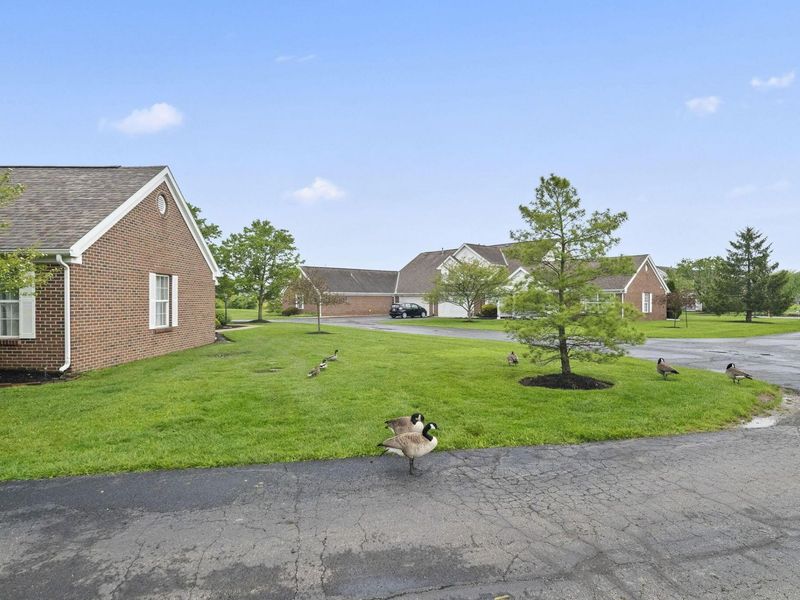1214 Old Pond Drive, Marion, OH 43302 Photo 5