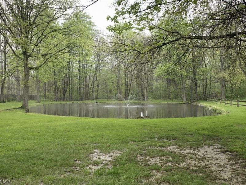 8365 Coon Club Road, Medina, OH 44256 Photo 2
