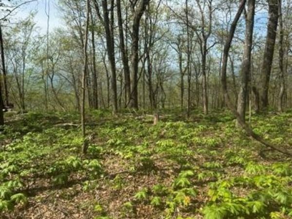 7180 Ridgeview Drive , Big Canoe, GA 30143