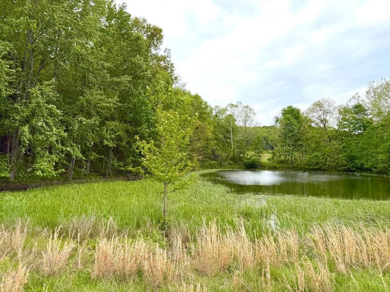 14703 Brier Hill Road, Paint Twp, OH 45612 Photo 14