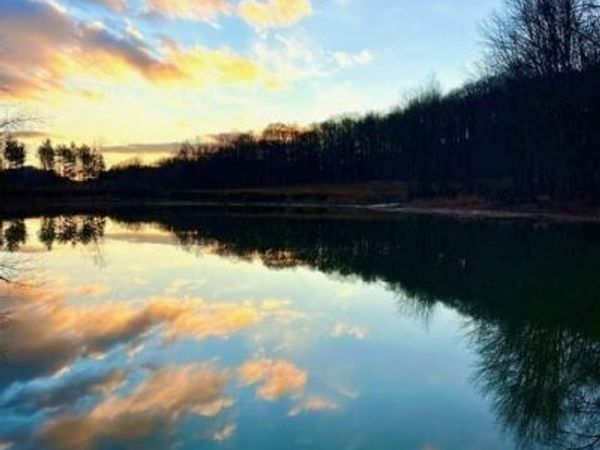 14703 Brier Hill Road, Bainbridge, OH 45612