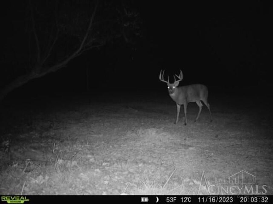 Property Image 94
