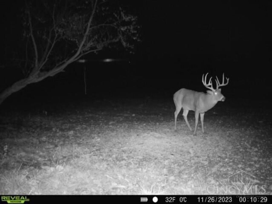 Property Image 95