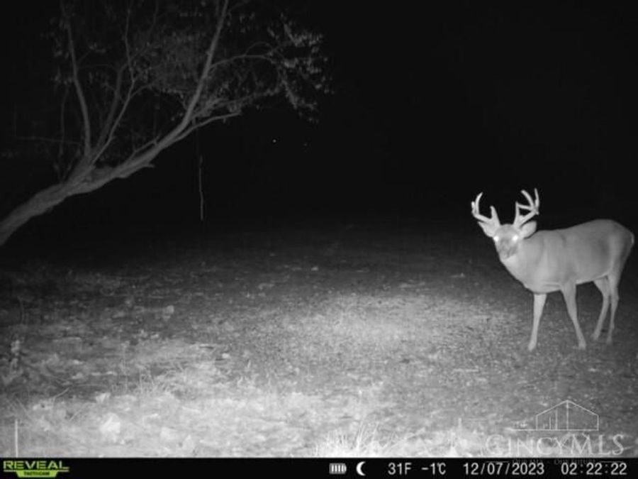 Property Image 96