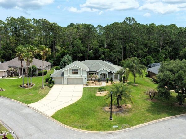 3 Black Pine Way, Ormond Beach, FL 32174
