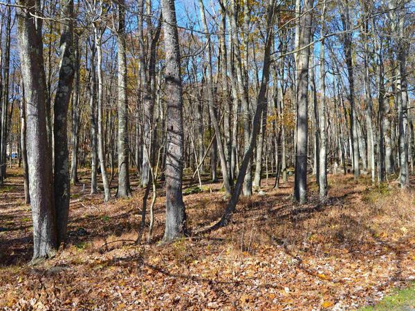 181 E Alpine Drive, Terra Alta, WV 26764