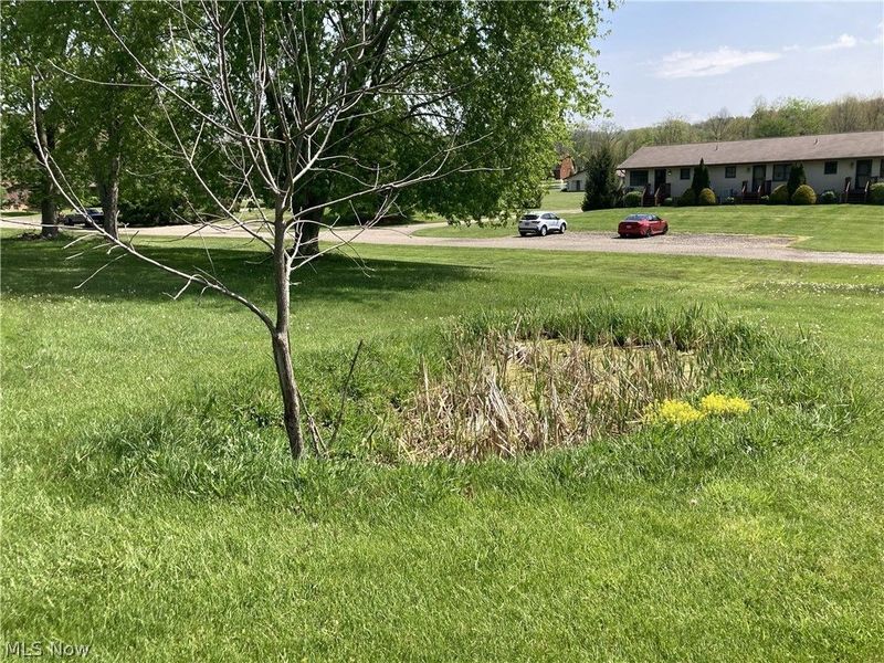 1238 Schneiders Crossing Road NW, Dover, OH 44622 Photo 22