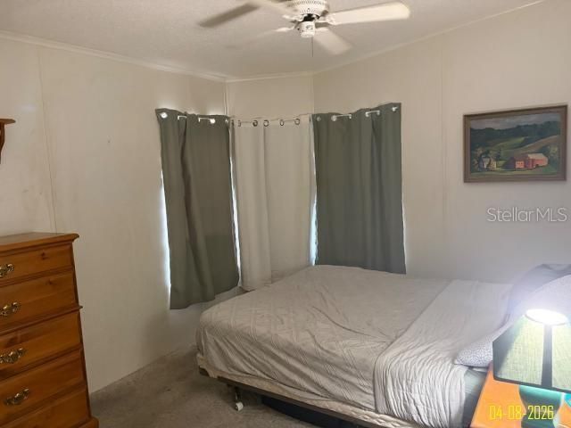 8034 Monitor Dr , New Port Richey, FL 34653 Photo