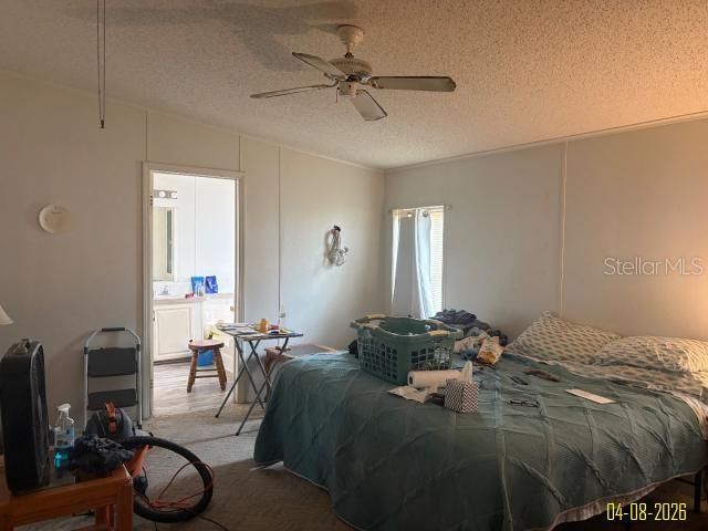 8034 Monitor Dr , New Port Richey, FL 34653 Photo