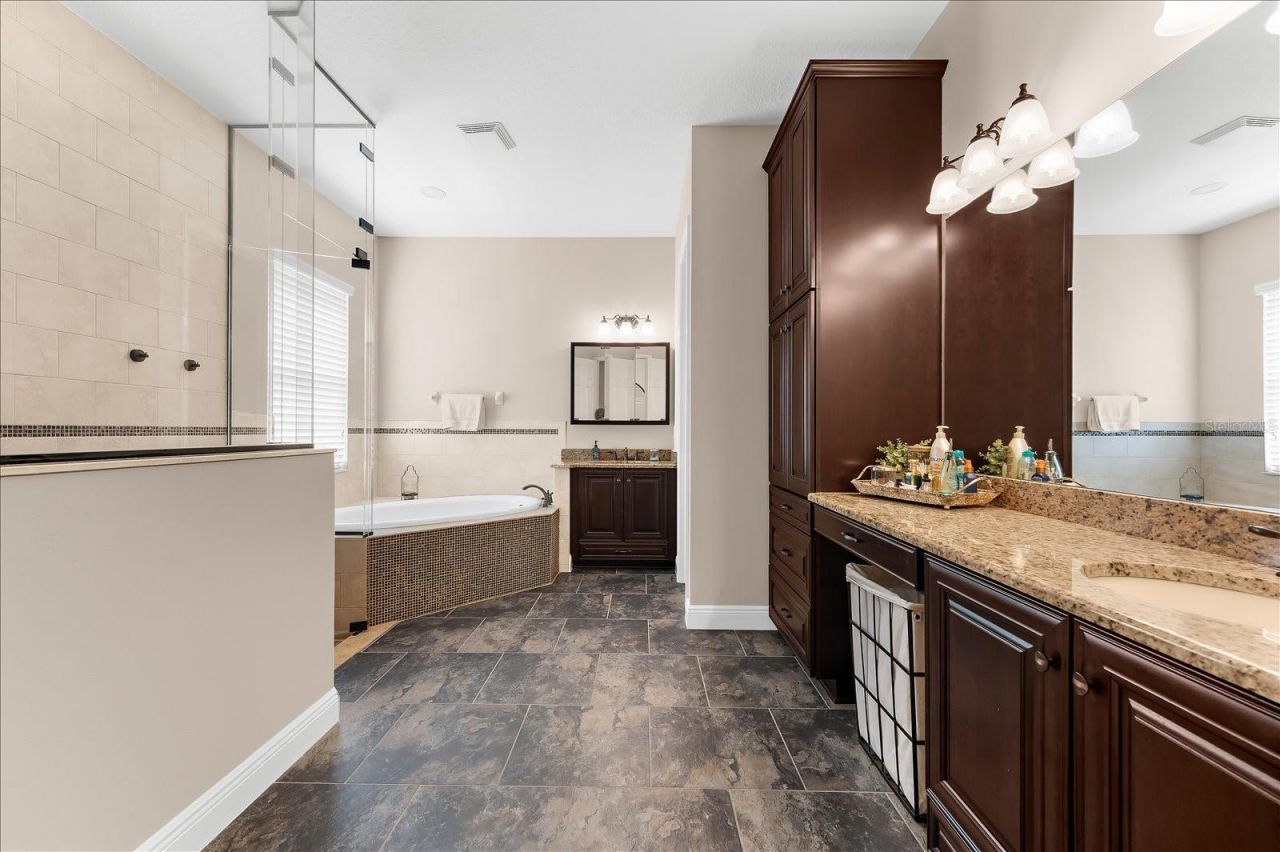 8904 Crystal Creek Court, Land O Lakes, FL 34638 Photo