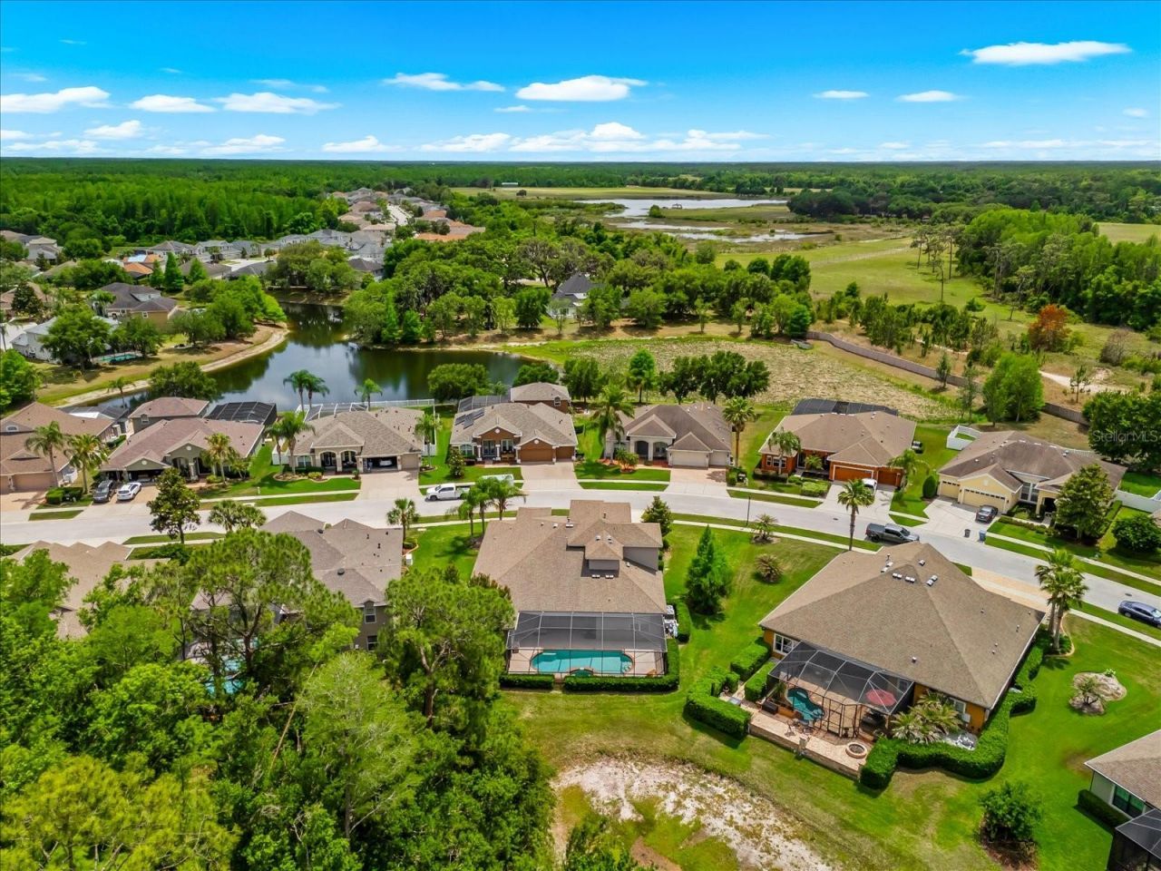 8904 Crystal Creek Court, Land O Lakes, FL 34638 Photo